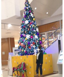 Christmas tree | その他
