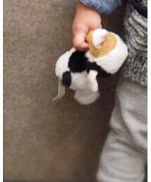 ネコちゃん | その他