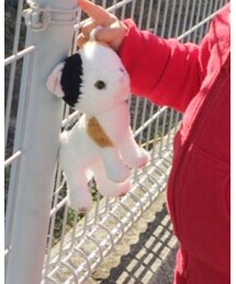 ネコちゃん | その他