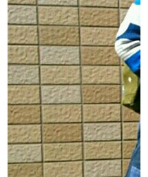 Lee | バックパック/リュック