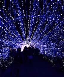 江ノ島 | その他