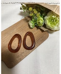手作り🍄 | ピアス（両耳用）