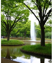 代々木公園 | その他