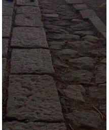 BALENCIAGA | トップス