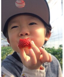🍓 | その他