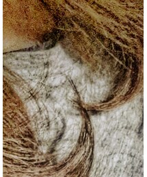 FOREVER 21 | Tシャツ/カットソー