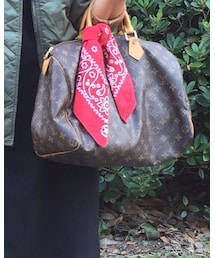 LOUIS VUITTON | ハンドバッグ