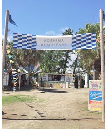 AOSHIMA BEACH PARK | その他