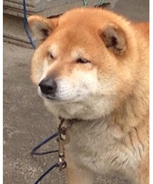 もこ入ってきた✨ | その他