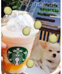 パールくん | その他