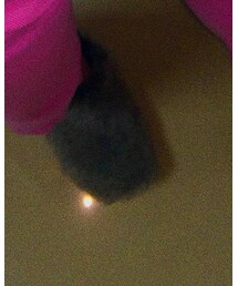 GLOBAL WORK | サンダル