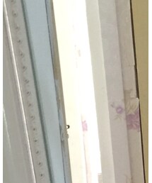 WITCHERY | Tシャツ/カットソー