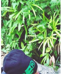 XLARGE KIDS | ニットキャップ/ビーニー