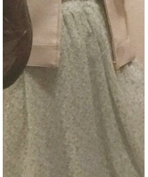 Crisp | スカート