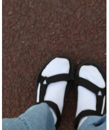 靴下屋 | ソックス/靴下