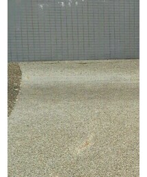 Agnes b | アクセサリー