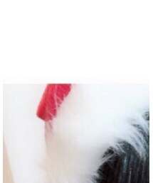 🤶 | ニットキャップ/ビーニー