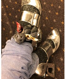 GALLERIE | ソックス/靴下