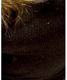 ZARA | Tシャツ/カットソー