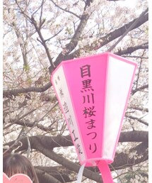 目黒川 | その他