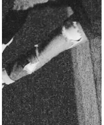 FOREVER 21 | パンツ