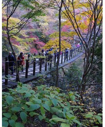 花貫渓谷② | その他