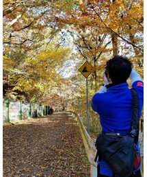 別ショット | その他