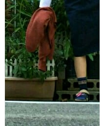 theory | ニット/セーター