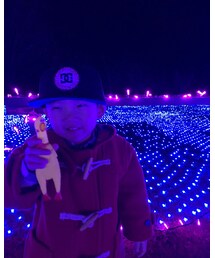 イルミネーション | その他