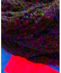 GU | ストール/ショール