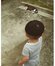 猫と一定の距離 | その他