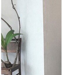 DOLCE&GABBANA | ネックレス