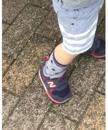 靴下屋 | ソックス/靴下