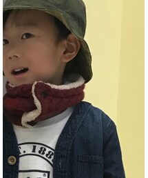 HARRIS TWEED | ストール/ショール