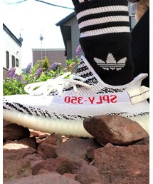 Yeezy | スニーカー