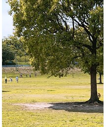 GU | シャツ/ブラウス