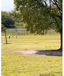 GU | ポロシャツ