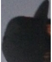 Supreme  | キャップ