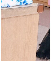 写真物語 | ドレス