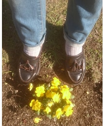 Dr. Martens | ドレスシューズ
