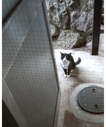 白黒😁 | 福袋/福箱