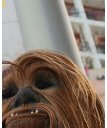 chewbacca | メガネ