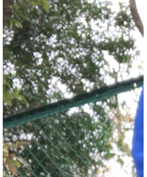 WAIPER.inc | ブルゾン