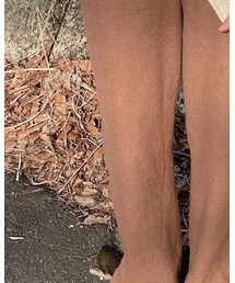 古着 | パンツ