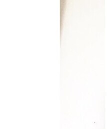 Right-on | Tシャツ/カットソー