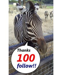 100follow記念(その他)