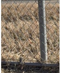 next | ダウンジャケット/コート