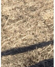 northface | ブーツ