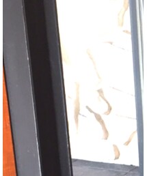 Cath Kidston | バックパック/リュック