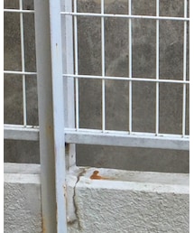 next | Tシャツ/カットソー